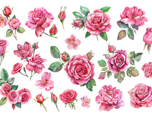 Romantic watercolor roses flowers png t shirt design online