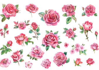 Romantic Watercolor roses Flowers png t shirt design online