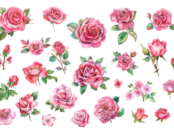 Romantic watercolor roses flowers png t shirt design online