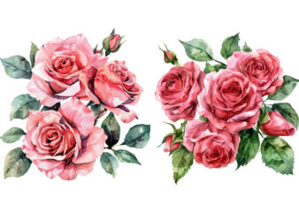 Romantic Watercolor rose Flowers