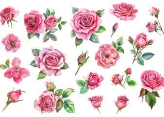 Antique Roses Watercolor illustration t shirt vector