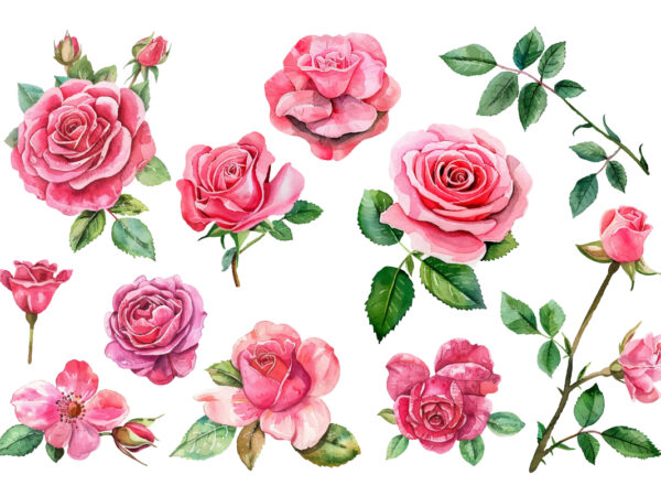 Roses watercolor illustration t shirt design online