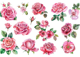 Set of beautiful watercolor roses t shirt template vector