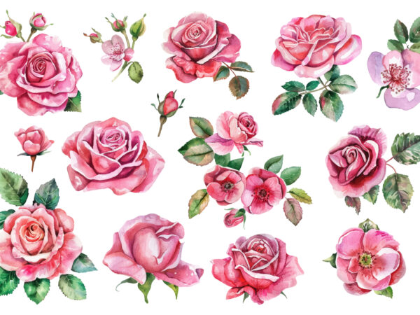 Set of beautiful watercolor roses t shirt template vector