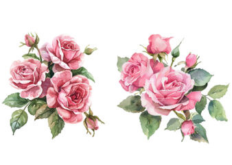 beautiful watercolor roses t shirt template
