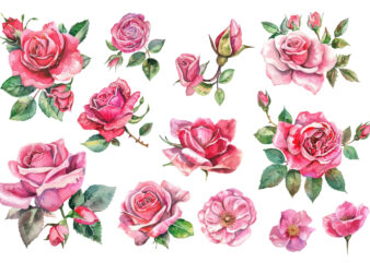 Set of beautiful watercolor roses t shirt template vector