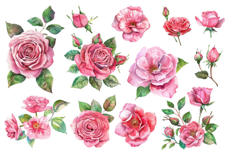 Watercolor Pink Roses Bouquet