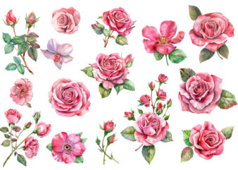 Pink Watercolor Rose Clipart