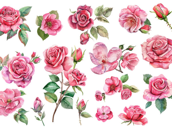 Light pink rose watercolor art t shirt vector graphic