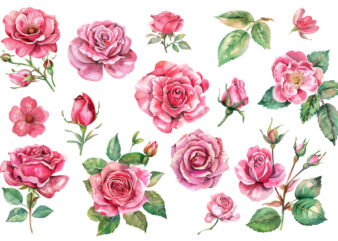 Light Pink Rose Watercolor Art t shirt vector graphic