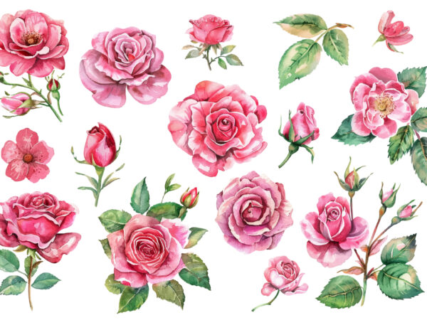 Light pink rose watercolor art t shirt vector graphic