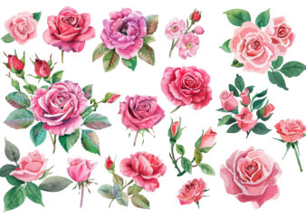 Set of beautiful watercolor roses t shirt template vector