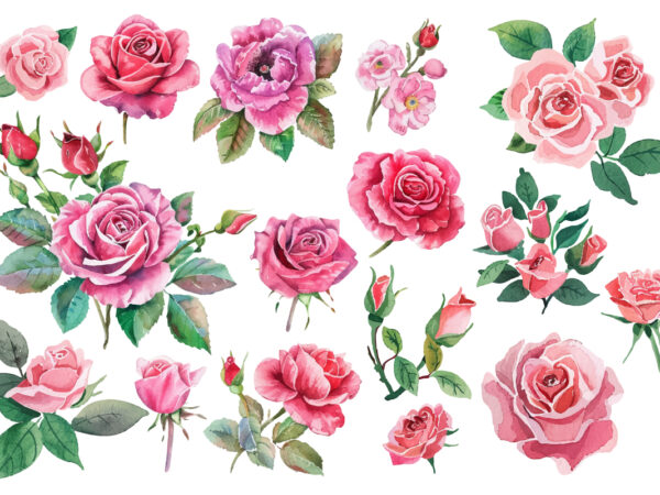 Set of beautiful watercolor roses t shirt template vector