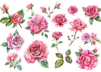 watercolor pink rose flower bouquet t shirt design for sale