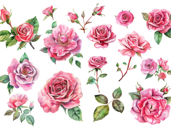 Watercolor pink rose flower bouquet t shirt design for sale