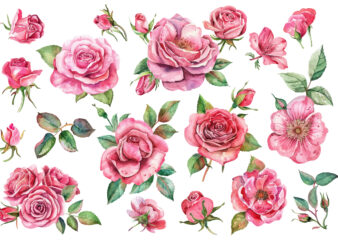 watercolor illustration painting botanical art t shirt design for sale