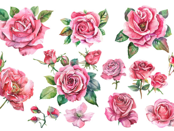 Pink rose flowers watercolor elements t shirt illustration