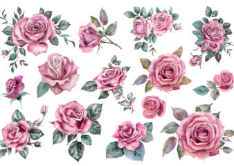 Pink Roses Watercolor Art Print