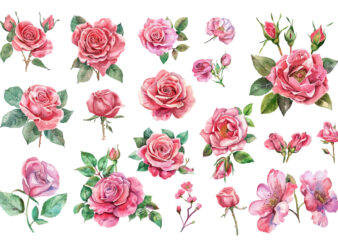 Pink Roses Watercolor Art Print t shirt illustration