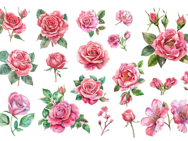Pink roses watercolor art print t shirt illustration