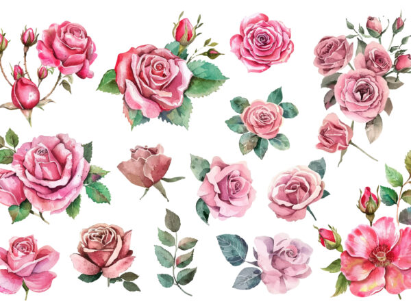 Watercolor pink rose bouquet illustration t shirt design for sale