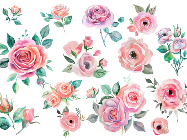 Rose, watercolor, print, botanical, ornament, wallpaper, graphic, invitation, painting, romantic, wedding, drawing, artistic, elegance, peta