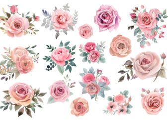 watercolor illustration set of pink rose