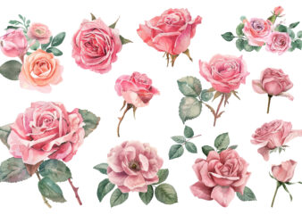 watercolor illustration set of pink rose t shirt design for sale