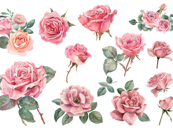 Watercolor illustration set of pink rose t shirt design for sale