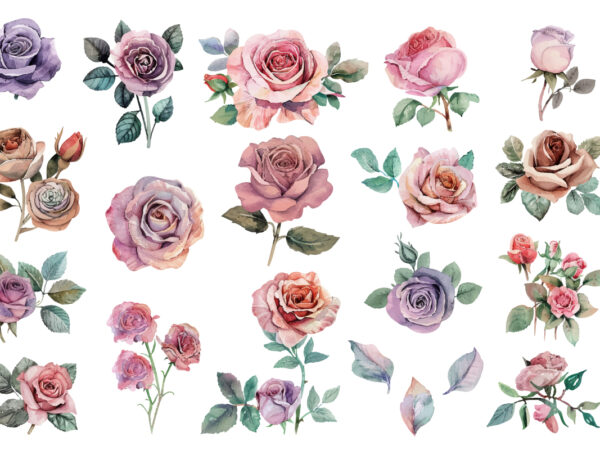 Beautiful rose watercolor hand-paint t shirt template