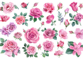 watercolor pink roses clipart t shirt design for sale