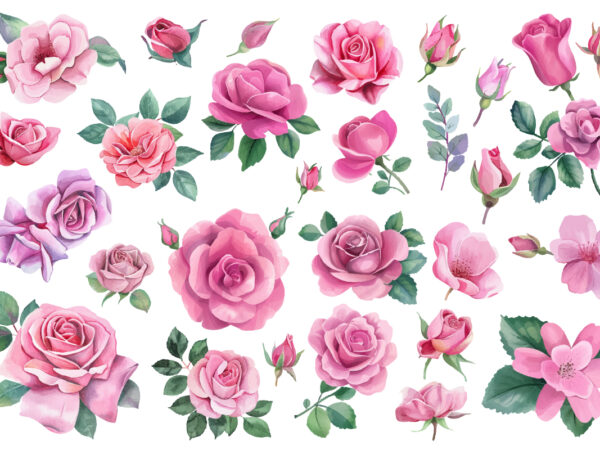 Watercolor pink roses clipart t shirt design for sale
