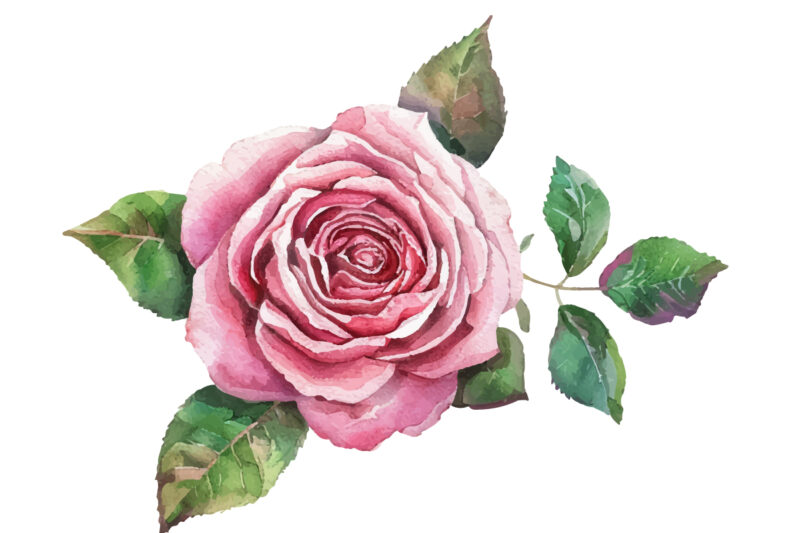 Watercolor Pink Roses Bouquet