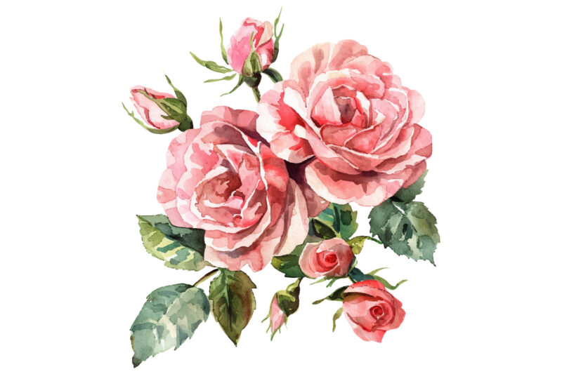Watercolor Pink Roses Bouquet, Floral Clipart, Wedding Clip art
