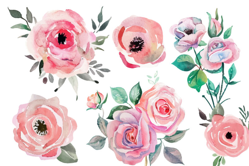 rose, watercolor, print, botanical, ornament, wallpaper, graphic, invitation, painting, romantic, wedding, drawing, artistic, elegance, peta