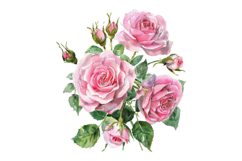 Watercolor Pink Roses Bouquet, Floral Clipart, Wedding Clip art