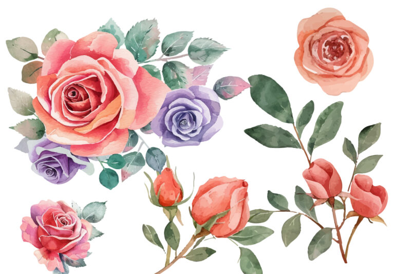 hand painting watercolor roses flowers