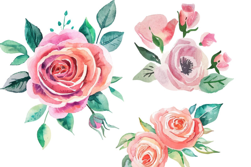 rose, watercolor, print, botanical, ornament, wallpaper, graphic, invitation, painting, romantic, wedding, drawing, artistic, elegance, peta