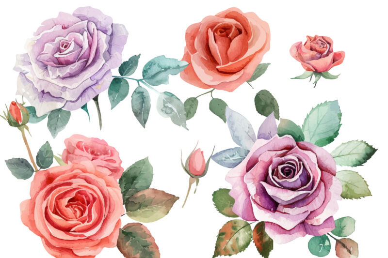 hand painting watercolor roses flowers