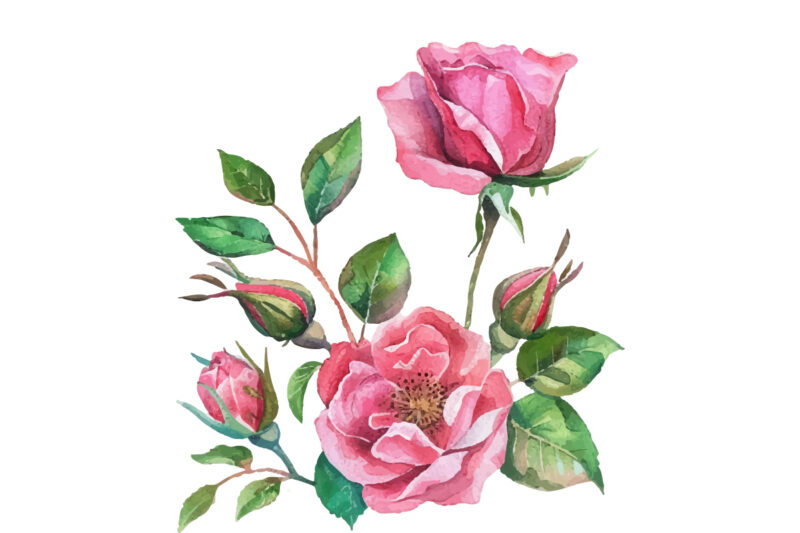 Watercolor Pink Roses Bouquet