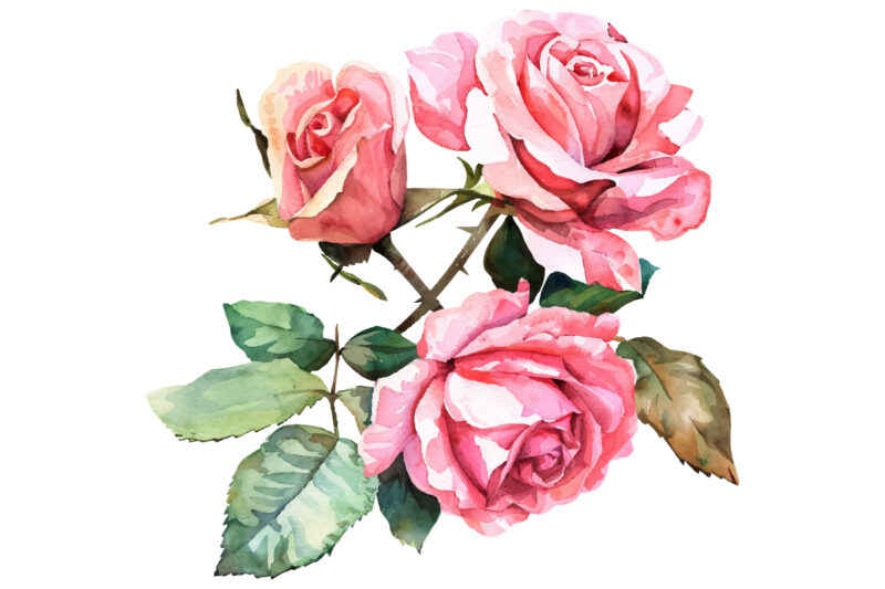 Watercolor Pink Roses Bouquet, Floral Clipart, Wedding Clip art