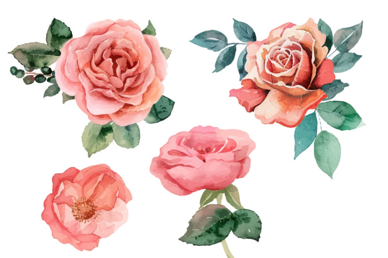 hand painting watercolor roses flowers