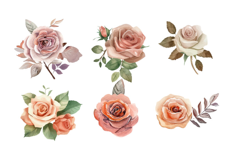 Hand drawn watercolor flower set