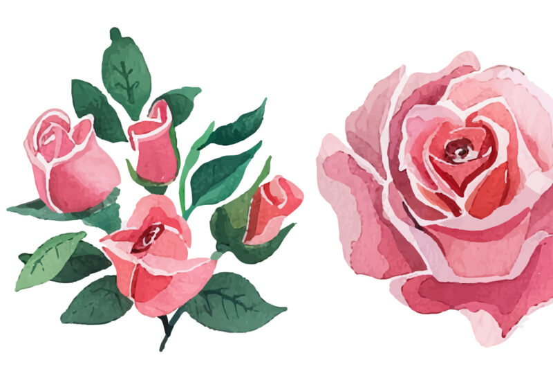 Set of beautiful watercolor roses