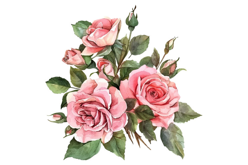 Watercolor Pink Roses Bouquet, Floral Clipart, Wedding Clip art