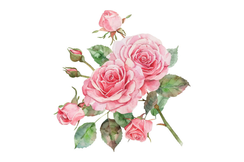 Watercolor Pink Roses Bouquet, Floral Clipart, Wedding Clip art