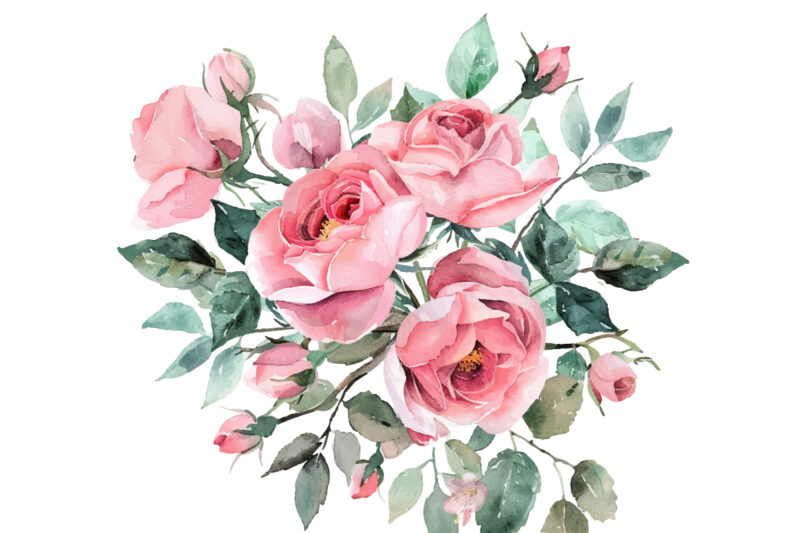 Pink Roses, Printable Watercolor clipart