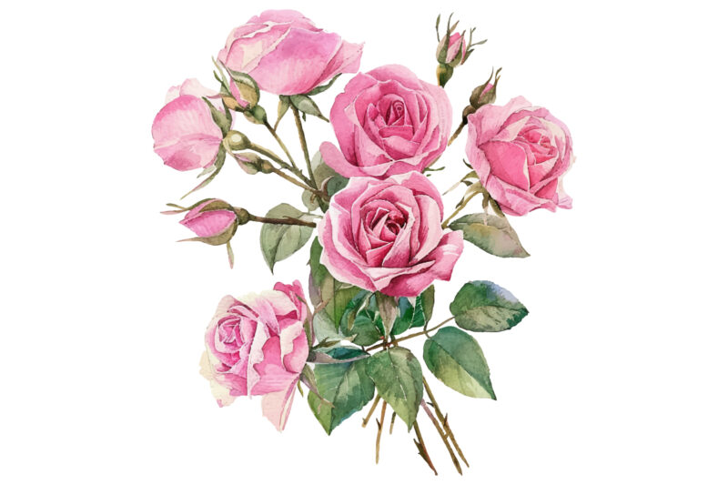 Watercolor Pink Roses Bouquet, Floral Clipart, Wedding Clip art