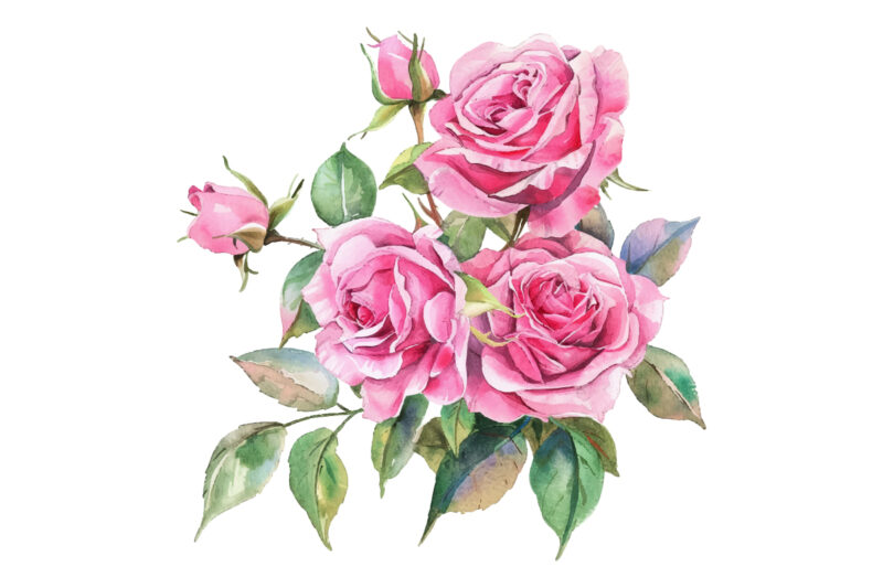 Watercolor Pink Roses Bouquet, Floral Clipart, Wedding Clip art