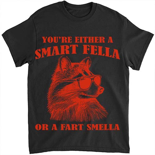 Are You A Smart Fella Or Fart Smella Retro Cartoon T Shirt, Meme T Shirt, Raccoon T Shirt LTSP
